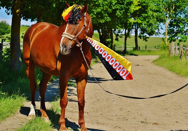 地面对抗能 地面对抗能