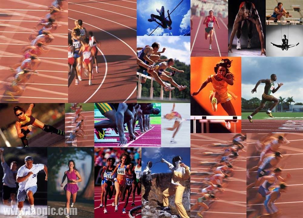 理上的胜利 理上的胜利