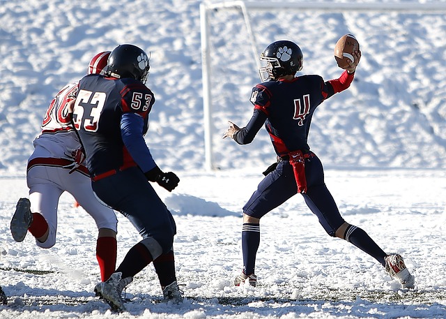 公鹿在开局 公鹿在开局