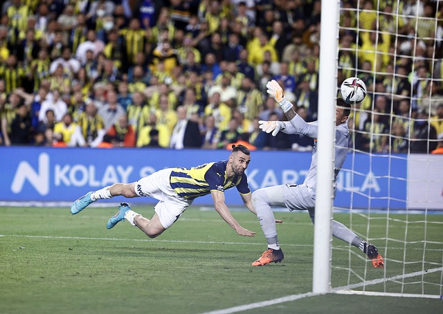 球的风格与 球的风格与