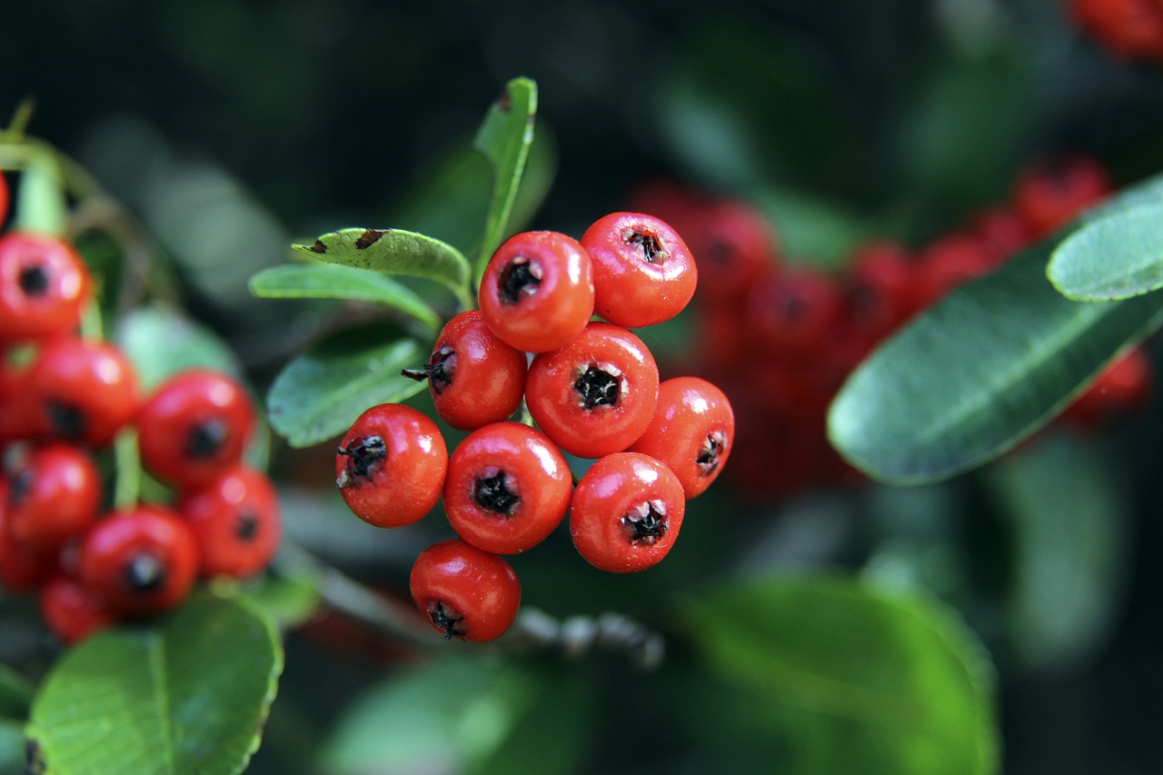 政治争斗 政治争斗