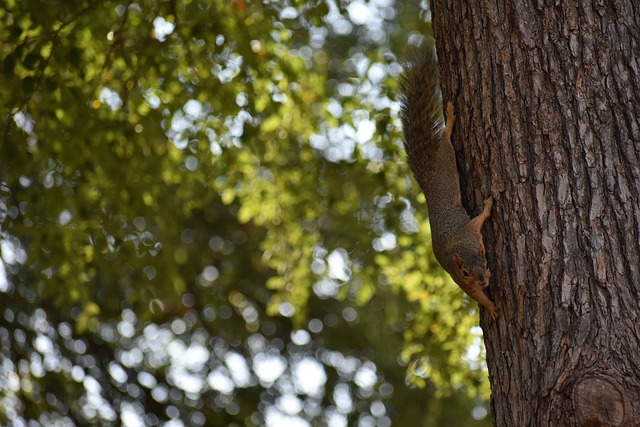 团体赛事中 团体赛事中
