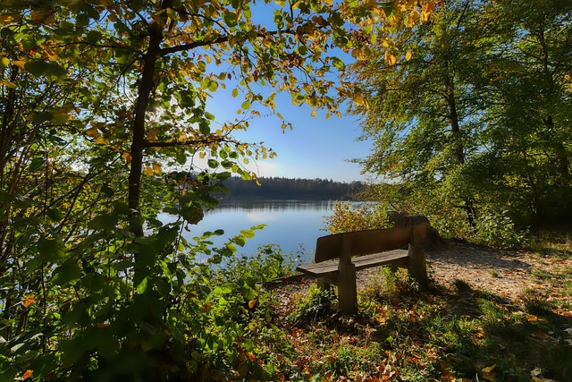 这不仅是她 这不仅是她