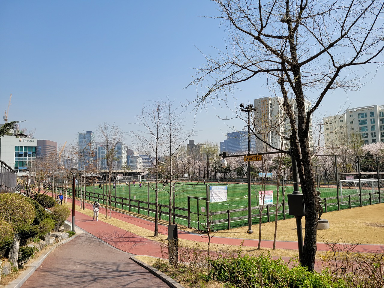 引导和激励 引导和激励